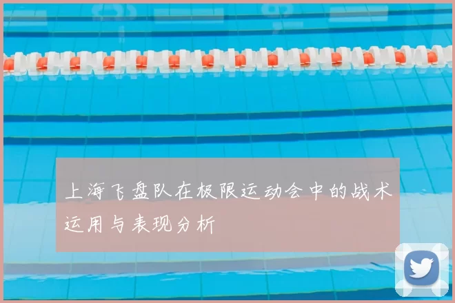 上海飞盘队在极限运动会中的战术运用与表现分析