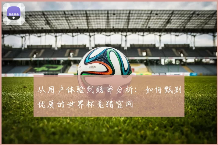 从用户体验到赔率分析：如何甄别优质的世界杯竞猜官网