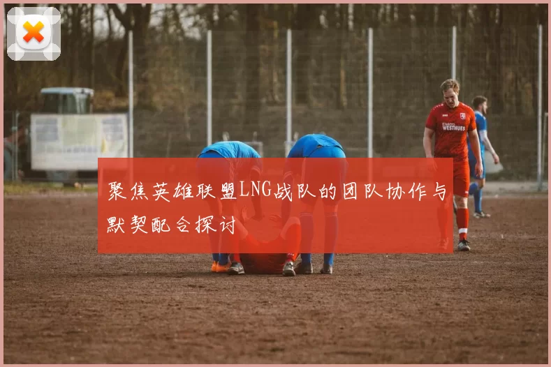 聚焦英雄联盟LNG战队的团队协作与默契配合探讨