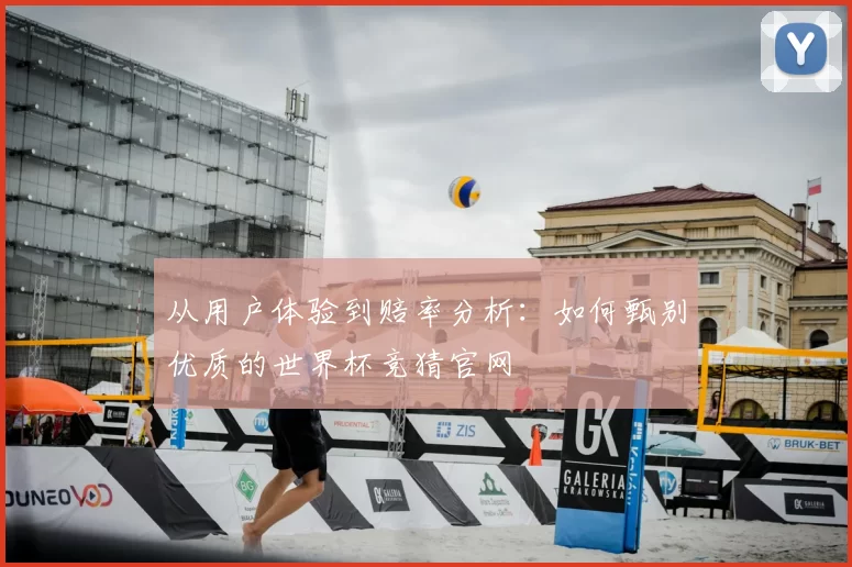 从用户体验到赔率分析：如何甄别优质的世界杯竞猜官网