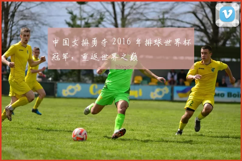 中国女排勇夺 2016 年排球世界杯冠军,重返世界之巅