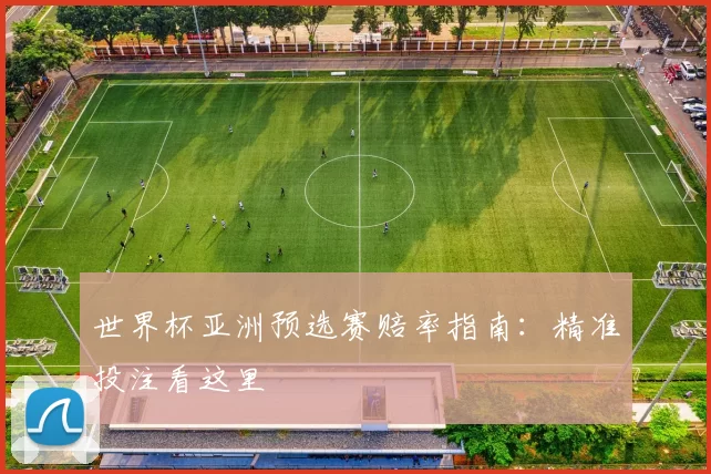 世界杯亚洲预选赛赔率指南：精准投注看这里
