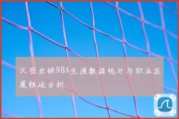 汉密尔顿NBA生涯数据统计与职业发展轨迹分析