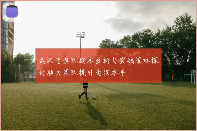 武汉飞盘队战术分析与实战策略探讨助力团队提升竞技水平
