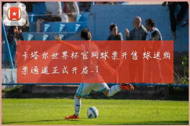 卡塔尔世界杯官网球票开售 球迷购票通道正式开启_1